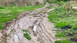 Прокуратура потребовала отсыпать щебнем улицу в хуторе Шпаковского округа
