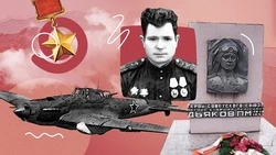Орден в обломках самолёта: в Калининградской области обнаружено место гибели героя-ставропольца Петра Дьякова