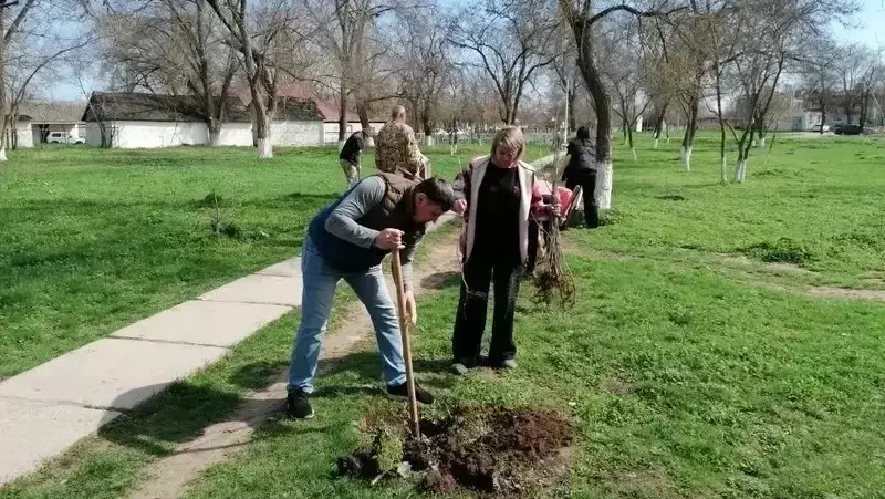 Почти 160 тыс. деревьев посадили на Ставрополье благодаря акции «Сад памяти»