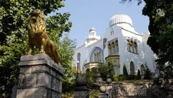 Поддержать Железноводск в голосовании по премии «Служение» можно до 6 апреля