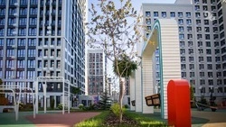 «ЮгСтройИнвест» поднялся на второе место в рейтинге динамики развития