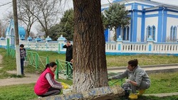 На Ставрополье стартовали весенние субботники 