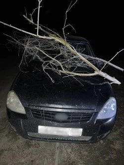 В Новоалександровском округе женщина разбила чужой автомобиль палками