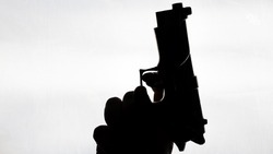Бывшего полицейского осудили за помощь чиновнику в «ответном» заказном убийстве