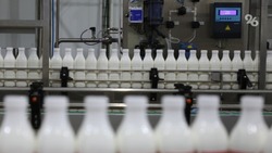 Экспорт молочной продукции вырос на 7% на Ставрополье