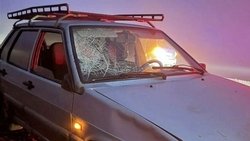 В Кировском округе пьяный пешеход попал под машину на туманной трассе