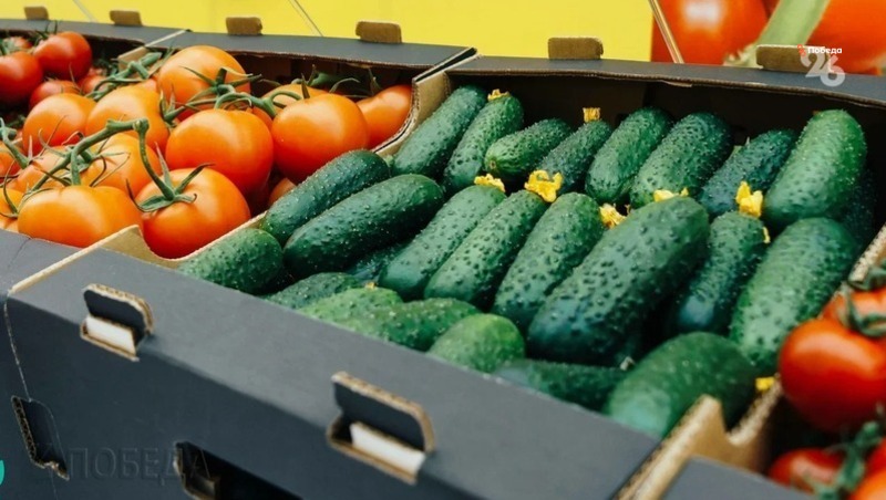 Акция «Овощи к подъезду» станет всесезонной на Ставрополье