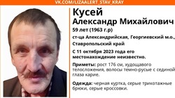 Пропавшего худощавого пожилого мужчину уже 10 дней ищут на Ставрополье
