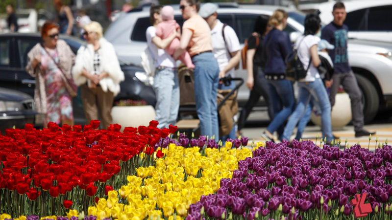 Ставрополь клумбы цветы. Идеи фото с тюльпанами на улице. Ставропольская цветет. Фото с тюльпанами на улице