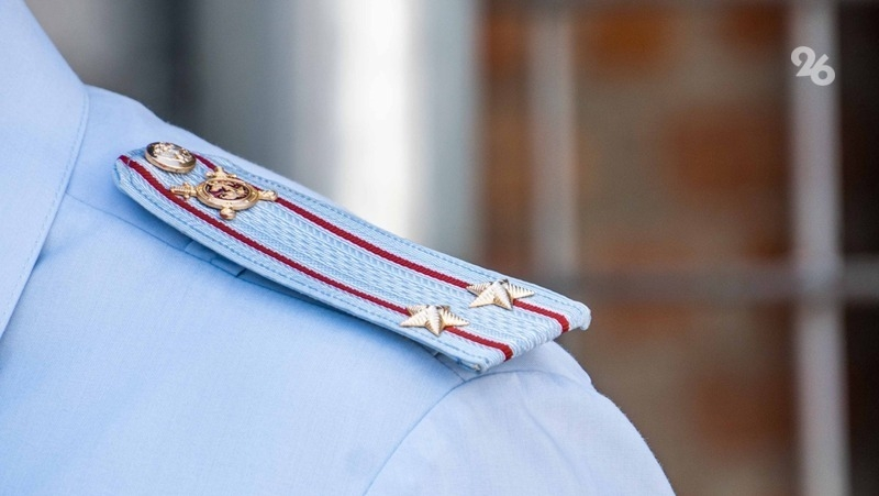 По факту нападения собаки на ребёнка в Ставрополе возбуждено уголовное дело