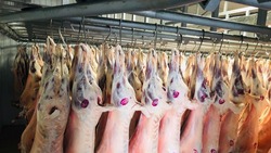 Ставропольское хозяйство планирует увеличить производство мяса благодаря господдержке