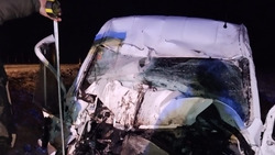 Водитель попал в больницу с переломом таза после ДТП в Андроповском округе