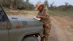 Более 121 тыс. доз вакцины от бешенства распространили на Ставрополье