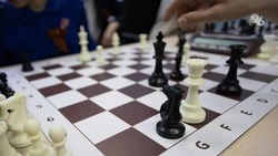 Первый на Кавказе музей шахмат откроют в Ставрополе