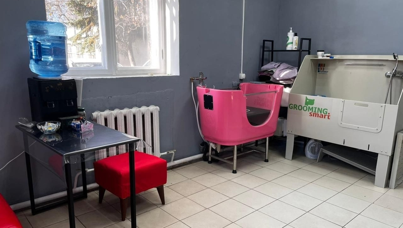 Жительница Предгорья открыла груминг-салон благодаря соцподдержке