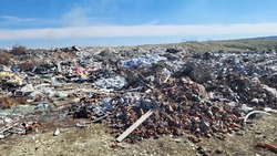 Размеры мусорной свалки возле ставропольской станицы достигли 12,5 га 
