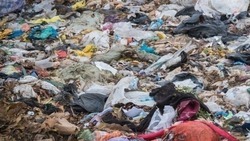 Более 90% мусора на Ставрополье проходит сортировку