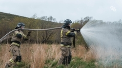 Сухая трава на площади в 500 кв. м загорелась на Ставрополье