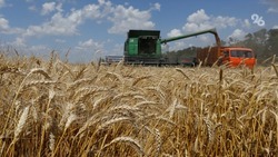 Губернатор Ставрополья поздравил аграриев с Днём сельского хозяйства