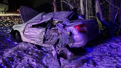 Водитель погиб, врезавшись на скорости в дерево в Георгиевском округе