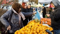 Ставропольцы могут закупиться на ярмарках 24 и 25 января