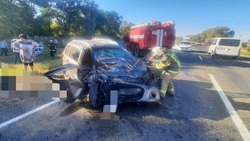 Неопытный водитель спровоцировал смертельное ДТП на трассе в Труновском округе