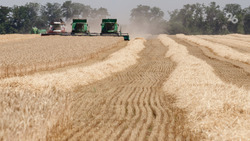 Уборка зерна завершилась в двух округах Ставрополья