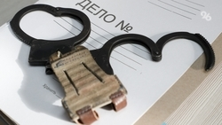 Ставропольца подозревают в изнасиловании несовершеннолетней петербурженки