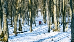До +3 градусов потеплеет на Ставрополье в середине недели