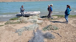 Сети браконьеров убрали на Егорлыкском водохранилище на Ставрополье