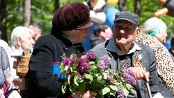 Более чем в 25 дворах Ставрополя для ветеранов устроили концерты
