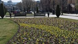 Кисловодск встретит курортный сезон сотнями ярких цветов и ковровыми клумбами