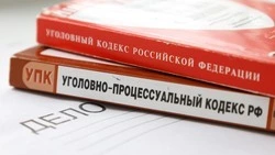  Бастрыкину снова доложат по делу о затоплении домов в станице Александрийской
