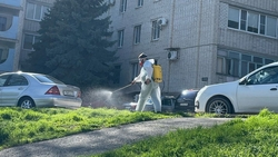 Около 700 тыс. кв. м городских территорий Ставрополя обработали от клещей