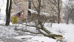 Более сотни жилых домов повредил ураган на Ставрополье 