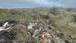 Незаконная свалка в Александровском округе нанесла ущерб бюджету на 6 млн рублей