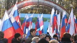 Танцы, выставки и письма солдату: как жители Ставрополя отпраздновали День народного единства 