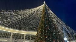 Новогодние обращения Путина, Владимирова и Моисеева покажут на главном экране в Кисловодске