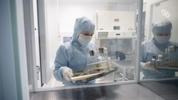 На Ставрополье за неделю диагностировали 54 случая Covid-19