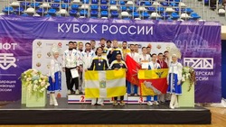 Ставропольская сборная по тхэквондо заняла второе место на Кубке России 