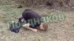 Полиция Ставрополья проводит проверку из-за видео, где подростка избивают и заставляют целовать землю