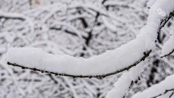 Апрельский снегопад удивил жителей Железноводска