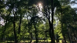 Пятитысячную книжку туриста вручили на общегородском походе в Кисловодске