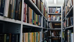 В Георгиевском округе готовится к открытию первая модельная библиотека 
