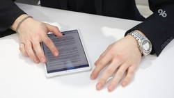 38% ставропольцев выступили за регистрацию на маркетплейсах через «Госуслуги»