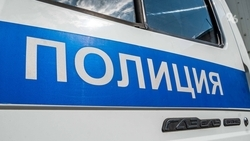 Полиция Михайловска ищет живодёра, расстрелявшего собаку Найду