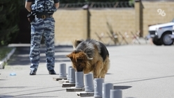 18 образовательных учреждений проверяют из-за угрозы минирования на Ставрополье