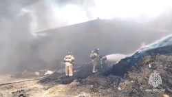 Пожар площадью 500 кв. м локализовали спасатели на Ставрополье 