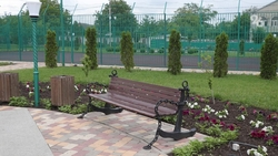 Зону отдыха обустроят в селе Курского округа к лету 