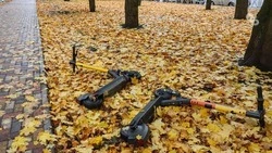 73-летняя пенсионерка на Ставрополье взыскивает 1 млн со сбившего её самокатчика